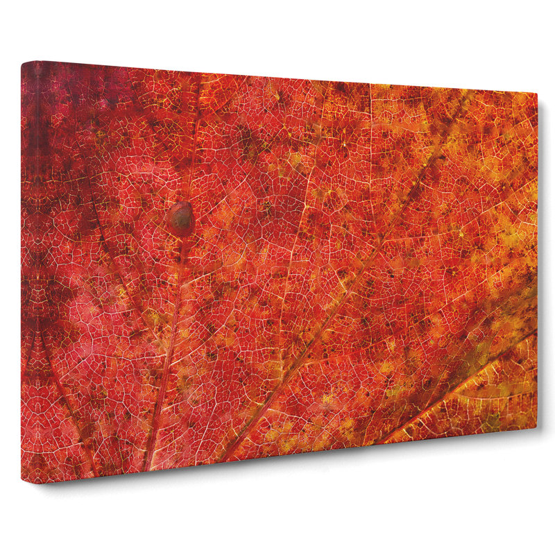 Autumn Leaf Vol.2 Painting - Wrapped Canvas, 50cm H x 76cm W x 3cm D