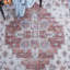 109 M/W S/R Area Rug In Ivory / Rust-494250972