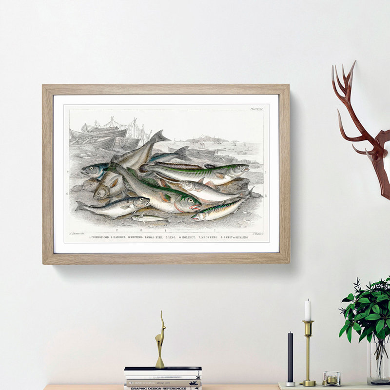 Beached Fish PL.67 1 Piece Single Picture Frame Painting, 24cm H x 33cm W x 2cm D, Oak Framed