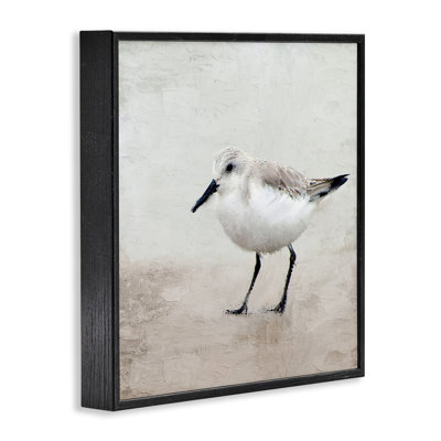 «Lone Sandpiper Bird Portrait», art mural texturé giclée par Kim Allen_aq-605