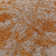 Hermitage Abstract Recycled P.E.T Indoor / Outdoor Area Rug