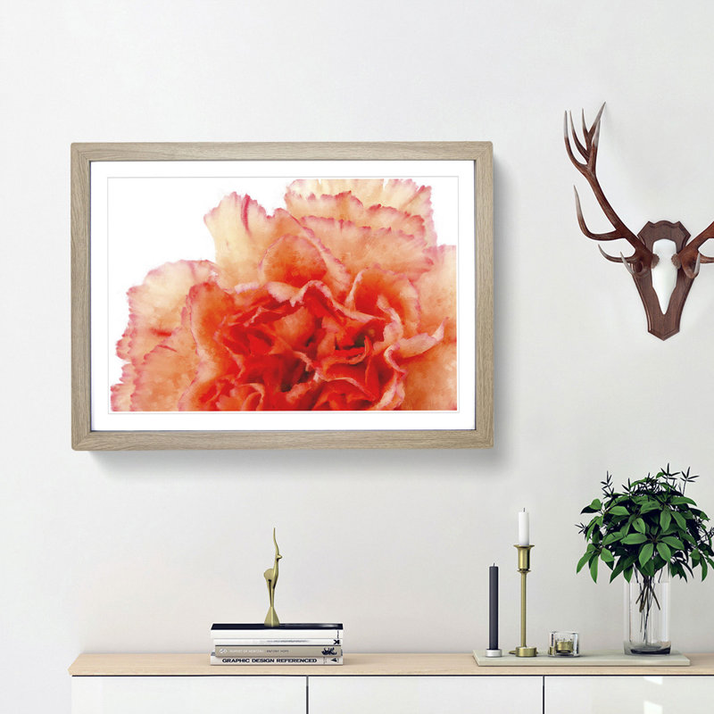 Orange Carnation Flower - Picture Frame Graphic Art Print, 33cm H x 45cm W x 2cm D, Oak Framed