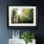 Light and Trees II - Photographie avec cadre-520607934-520607933
