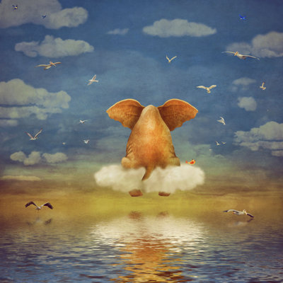 «Elephant» par Marozci, impression sur toile tendue