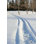 Winter Trails - Photographie sur toile tendue