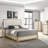 Modern/Contemporary Bed