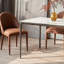 Quintonia-646487605