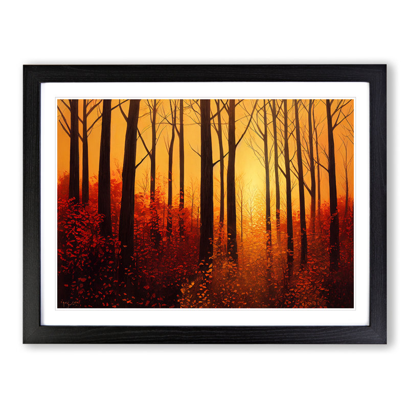 Autumn Forest At Sunset Vol.1 - Single Picture Frame Print, Black , 46cm H x 64cm W