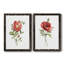 Pivoine écarlate - ensemble de 2 reproductions d'art-1707267969-1707267970-1707268024