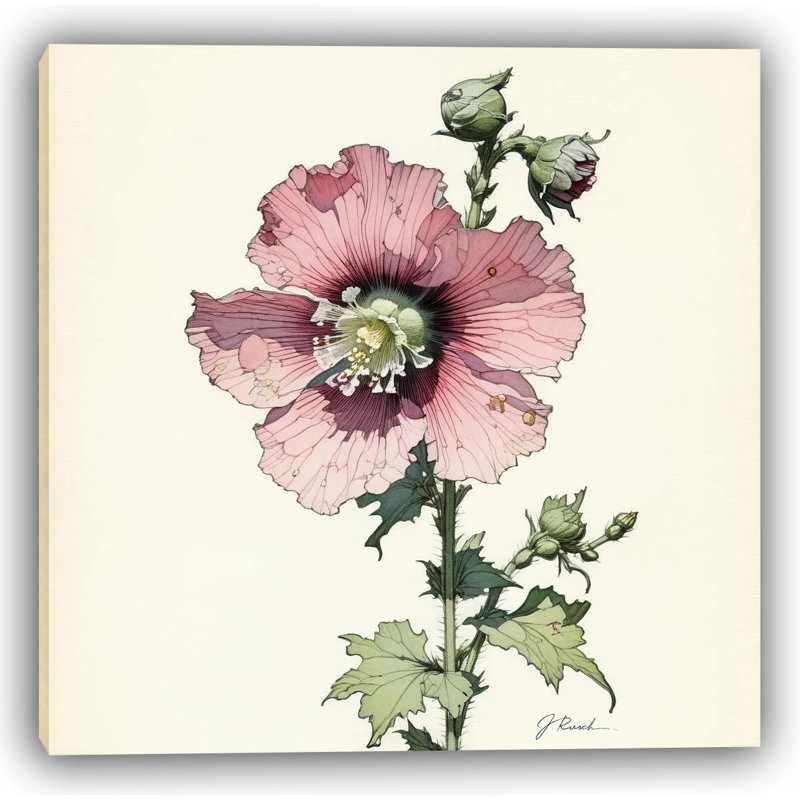 Toile botanique Blush Heritage Hollyhock, H 20 po x l 20 po