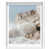 White Shadowbox