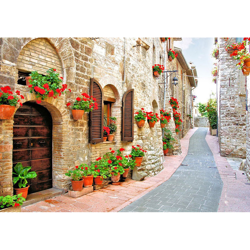 Murale paysage pelez et collez - province italienne, L 110 po x l 154 po