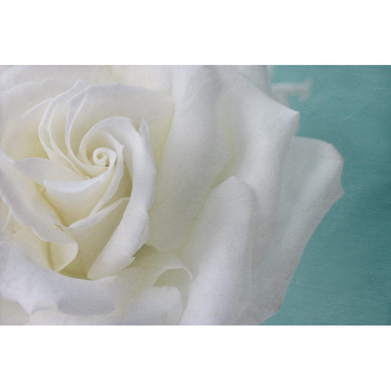 Judy Stalus - Wrapped Canvas Print, 41cm H x 61cm W x 3.81cm D