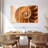 Aletra Nautilus Shell Inside-107949909