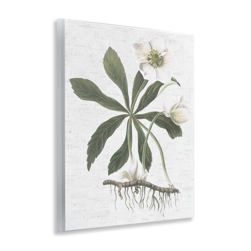 «Magnolia Flower Study», art mural par lettres et lignes
