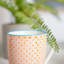 Nicola Spring Nicola Spring Hand-Printed Mug - 330ml - Orange - Pack of 6-50946688