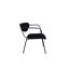 Bonview Upholstered Armchair-387477128