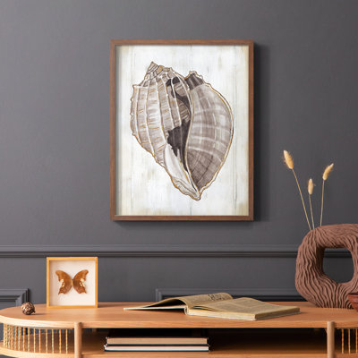 Ocean Cone II Framed Print - Solid Wood