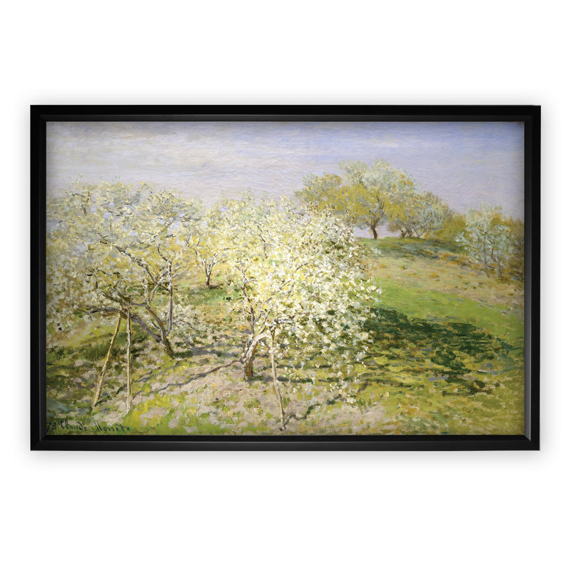 «Apple Trees», reproduction de photo, H 24 po x l 30 po x P 1,5 po, Cadre noir, Blanc mat