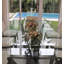 Casa Moderna Faux Succulent in Glass Planter