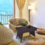Table basse Amedeo