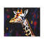 No Frame Print on Canvas-480606012