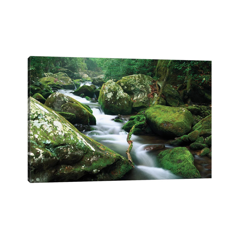 Roaring Fork River, Great Smoky Mountains National Park, Tennessee 1 Piece Wrapped Canvas Wall Art