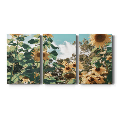 " Sunflower Field " 3 - Pieces