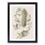 Titmouse Birds by John Audubon - Picture Frame Painting Print-55611615-55611616