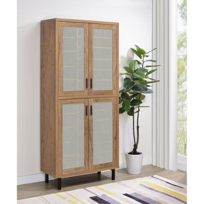 4-Door Tall Shoe Storage Cabinet
