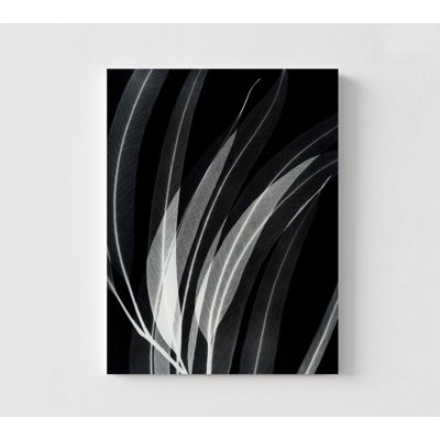 «Eucalyptus 2» par Albert Koetsier, reproduction botanique en noir et blanc, affiche d'eucalyptus, œuvre d'art de remodelage de sous-sol, art mural de couloir