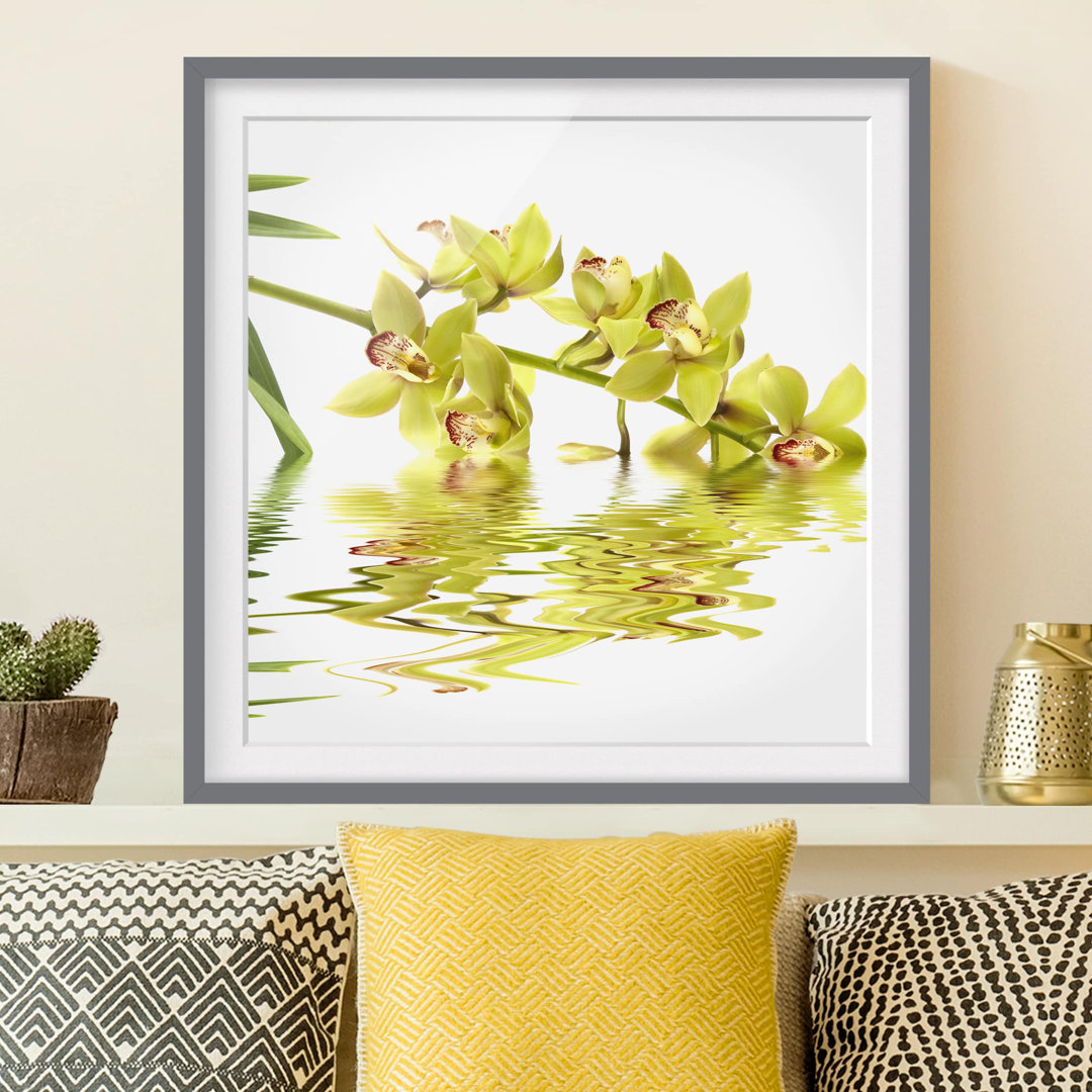 Gerahmter Kunstdruck Elegant Orchid Waters