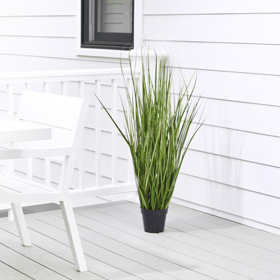 48" UV  Potted Variegated Grass