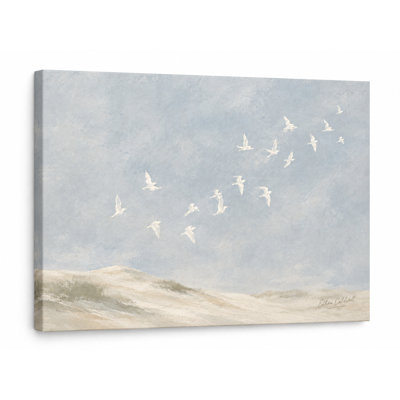 Blue Gray Seagull Coastal Dunes Wrapped Ingwer
