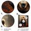 " Bear Wild Majesty Bear I "-1451658524