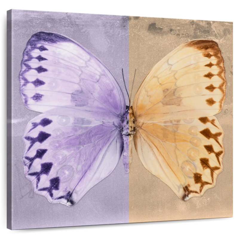 Brampt Miss Butterfly Formosana, 36" H x 36" W
