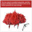 Arbre de Noël 4 pi en PVC rouge pur avec 456 pointes, branches articulées pour une installation facile et support en métal stable pour un décor audacieux des Fêtes-116796418
