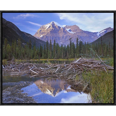 " Beaver Dam And Mount Robson, Mount Robson Provincial Park, Bc, Canada "