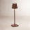 Poldina Pro Micro Table Lamp