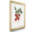 Garden Fresh Radish - Reproduction de photo encadrée sur papier-1531071011-1531071012