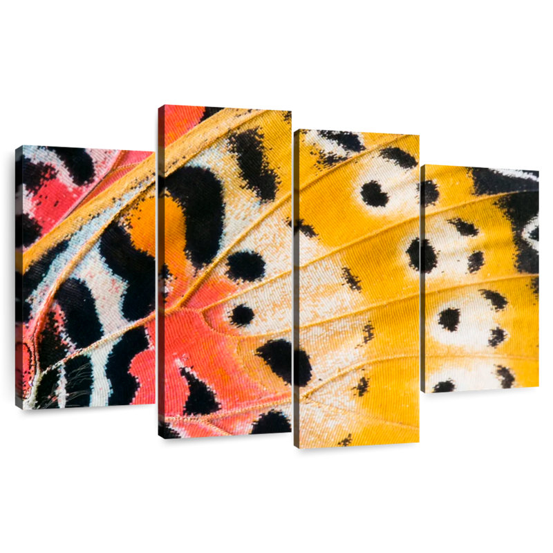 Brampt Butterfly Wing, 27" H x 43" W