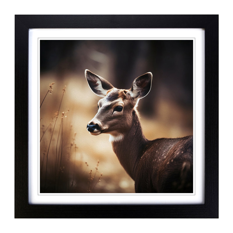 Deer Photograph - Framed Print, Black