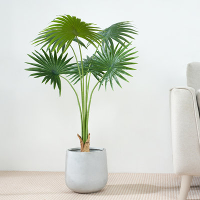 Anharika Faux Fan Palm Tree Plant