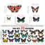 Insects Non-Wall Damaging Wall Sticker