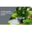 Manzi Plastic / Acrylic Fountain Birdbath