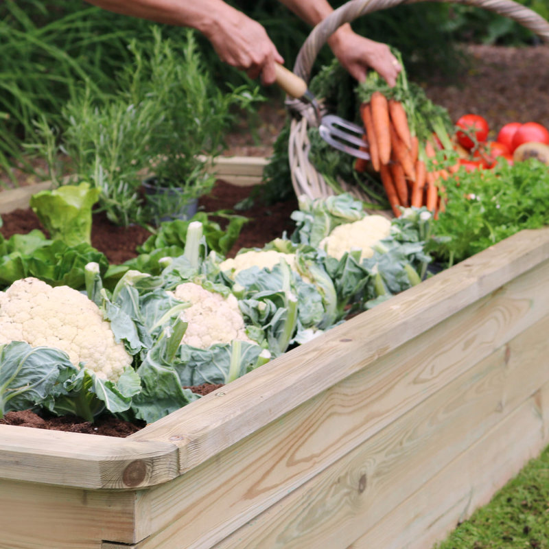 Kyler Raised Garden Bed, H30 x W180 x D90cm