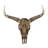 Polystone Carved Skull Cow Bronze Wall Decor