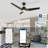 3 - Blade LED Smart Ceiling Fan with Light-91062340-101830623