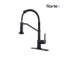 Rainlex Pull Down Kitchen Faucet