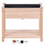 Carlishia Wood Raised Garden Bed